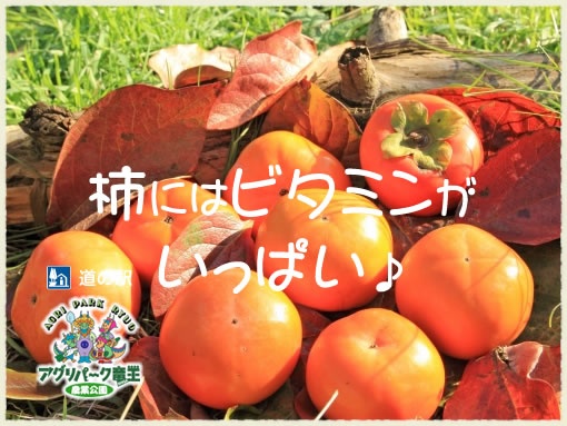 柿狩り