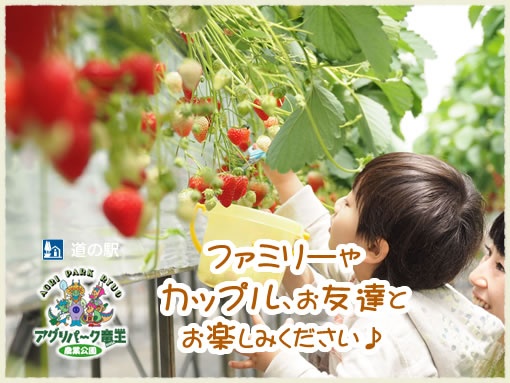 いちご狩り