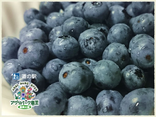 ブルーベリー