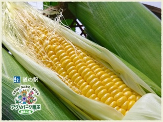 トウモロコシ