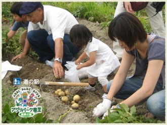 じゃがいも収穫体験