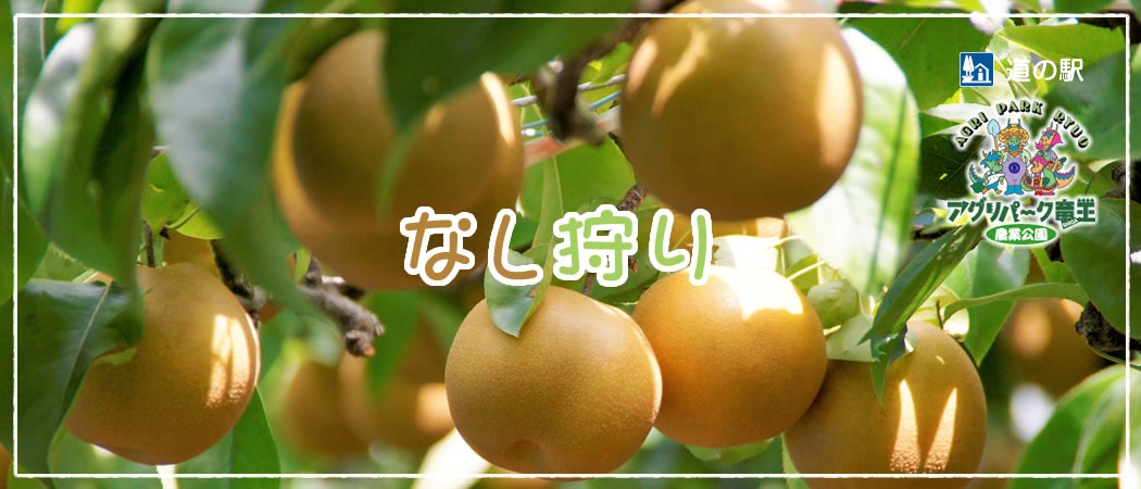 なし狩り