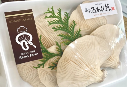 足太あわび茸 アグリパーク竜王直売所にて限定販売