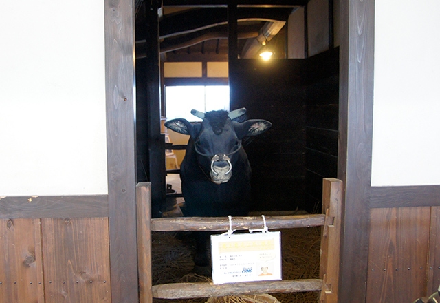 田園資料館