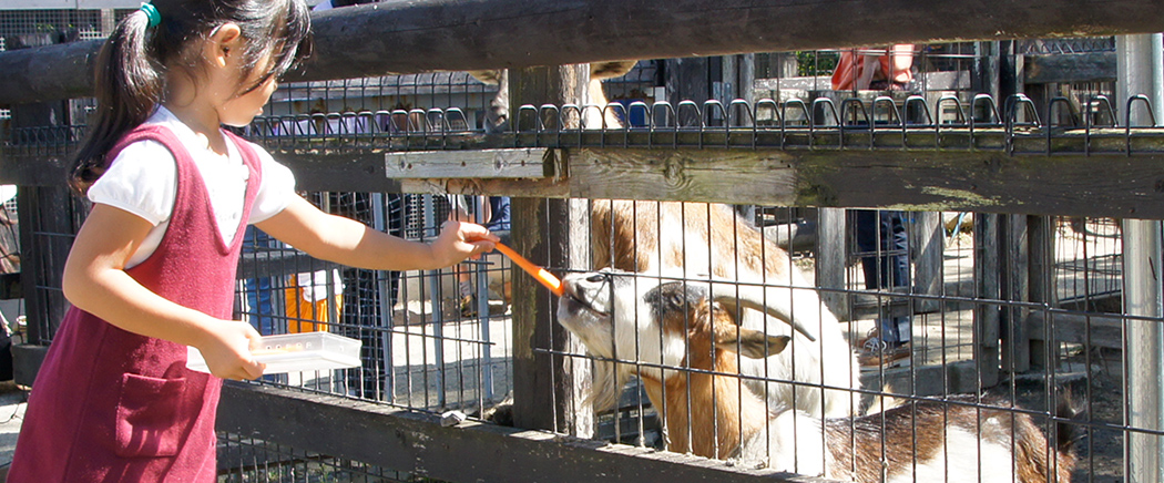 動物ふれあい広場