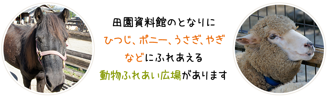 田園資料館のとなりにひつじ、ポニー、うさぎ、やぎなどにさわって遊べる動物ふれあい広場があります。