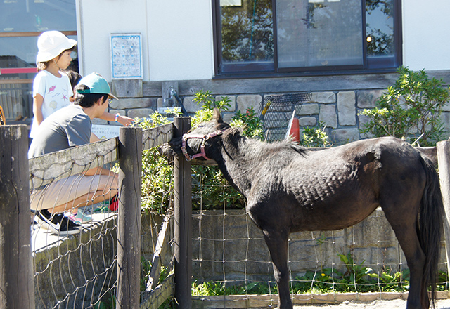 動物ふれあい広場