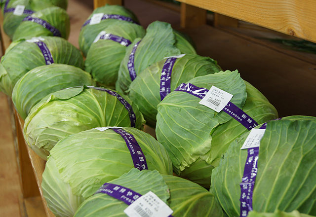 竜王産野菜・果物