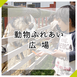 動物ふれあい広場